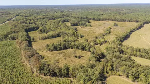 0 Bevis Ridge Rd, Cypress Inn, TN 38452