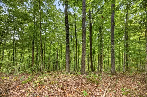 0 Timber Ridge Ln, Celina, TN 38551