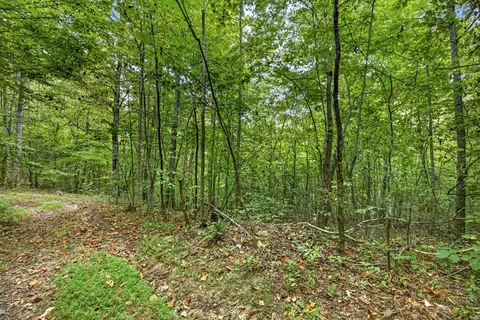 0 Timber Ridge Ln, Celina, TN 38551