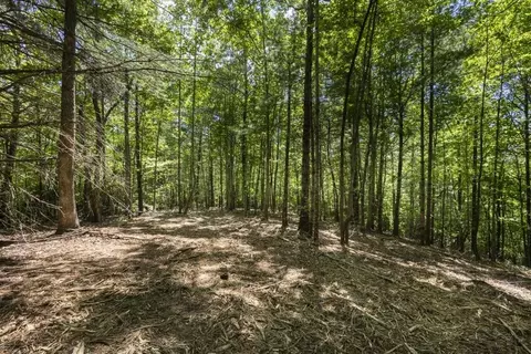 0 Donley Rd, Murphy, NC 28906 photo 14