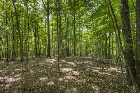 0 Donley Rd, Murphy, NC 28906 photo 30