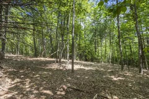 0 Donley Rd, Murphy, NC 28906 photo 13