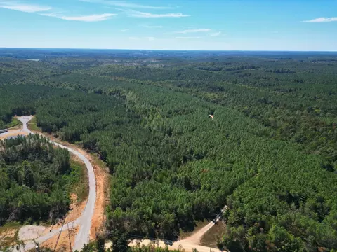 111 Hillbrook Dr, Hohenwald, TN 38462