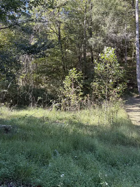 0 N Clearfork Rd, Sevierville, TN 37862