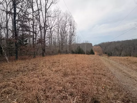 4 Blue Bird Ct, Nunnelly, TN 37137