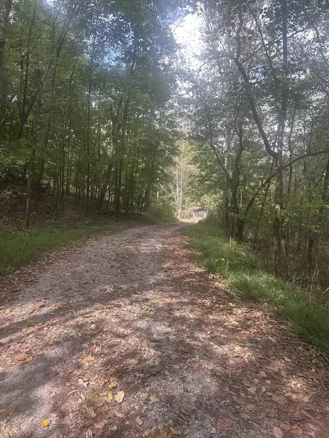 2550 Hurricane Creek Rd, Lawrenceburg, TN 38464