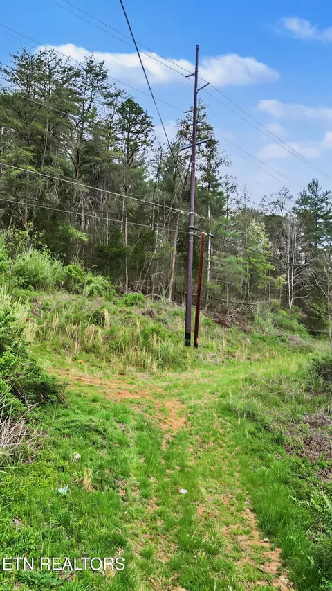 Other - 0 Wears Valley Rd, Townsend, TN 37882 photo 5 of 11