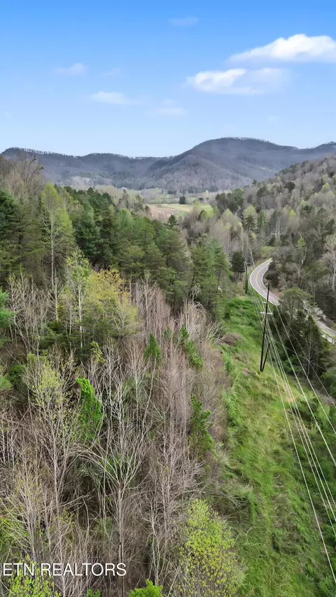 Other - 0 Wears Valley Rd, Townsend, TN 37882 photo 4 of 11