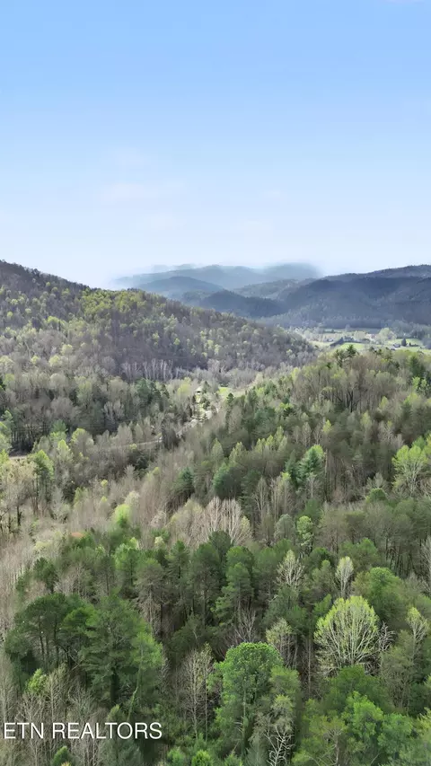 Other - 0 Wears Valley Rd, Townsend, TN 37882 photo 10 of 11