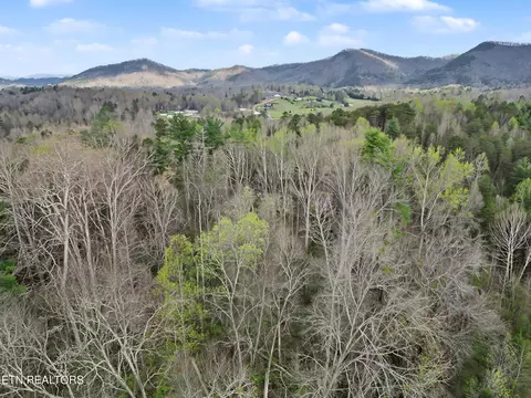 View/Area - 0 Wears Valley Rd, Townsend, TN 37882 photo 10 of 20