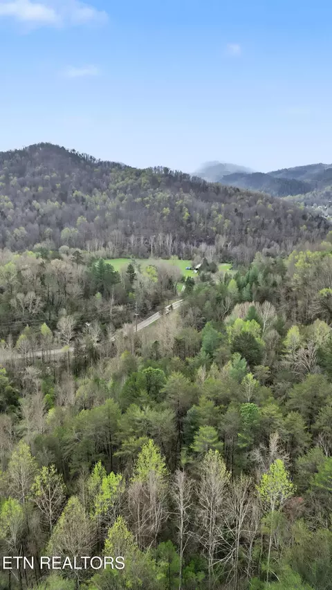 View/Area - 0 Wears Valley Rd, Townsend, TN 37882 photo 16 of 20