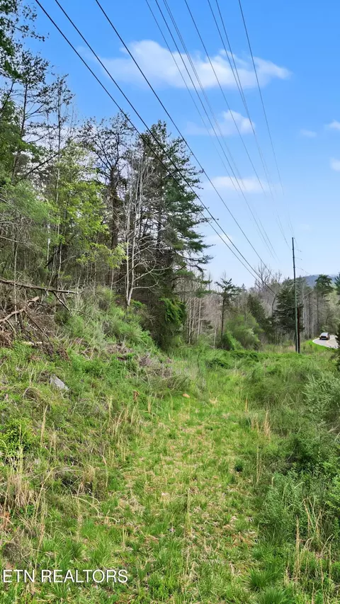 Other - 0 Wears Valley Rd, Townsend, TN 37882 photo 6 of 11