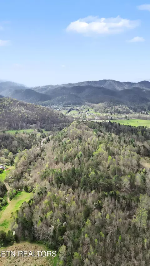 View/Area - 0 Wears Valley Rd, Townsend, TN 37882 photo 20 of 20
