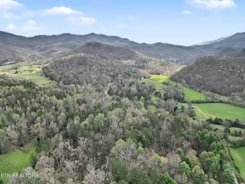 View/Area - 0 Wears Valley Rd, Townsend, TN 37882 photo 9 of 20