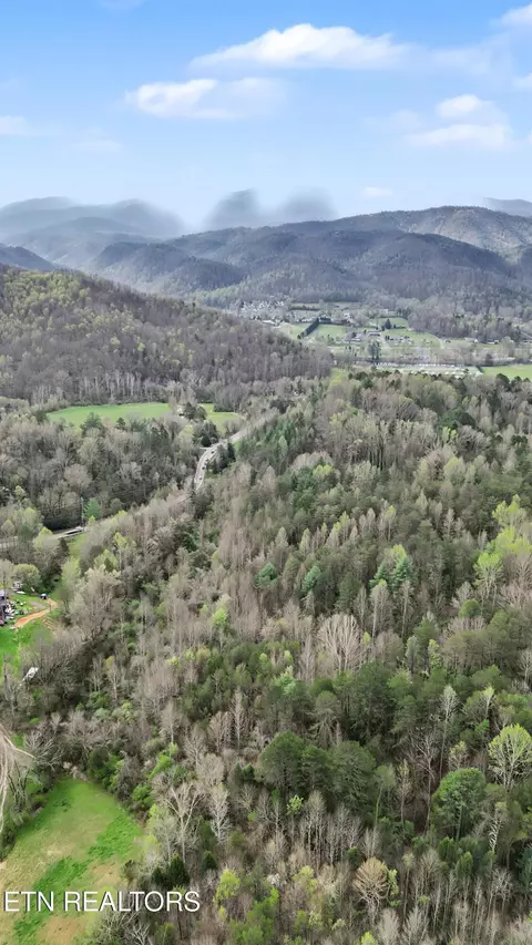 View/Area - 0 Wears Valley Rd, Townsend, TN 37882 photo 15 of 20