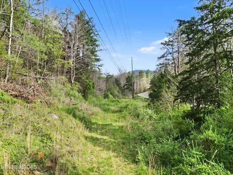 Other - 0 Wears Valley Rd, Townsend, TN 37882 photo 3 of 11