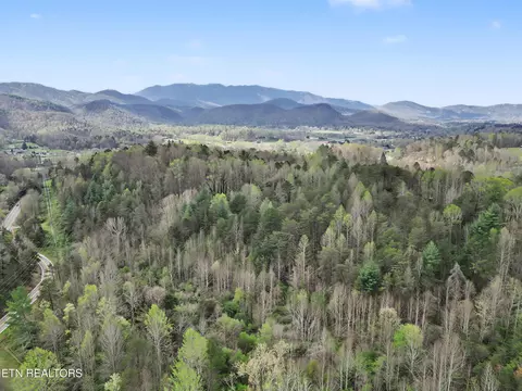 View/Area - 0 Wears Valley Rd, Townsend, TN 37882 photo 18 of 20