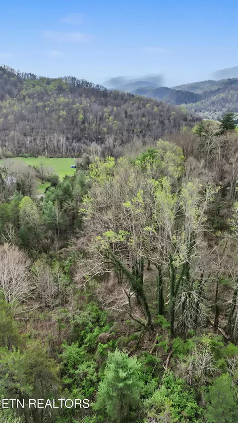 View/Area - 0 Wears Valley Rd, Townsend, TN 37882 photo 17 of 20