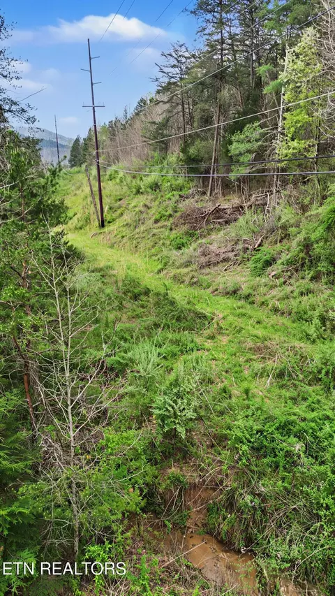 Other - 0 Wears Valley Rd, Townsend, TN 37882 photo 8 of 11