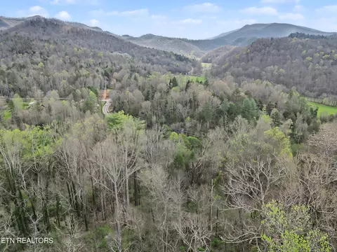 View/Area - 0 Wears Valley Rd, Townsend, TN 37882 photo 11 of 20