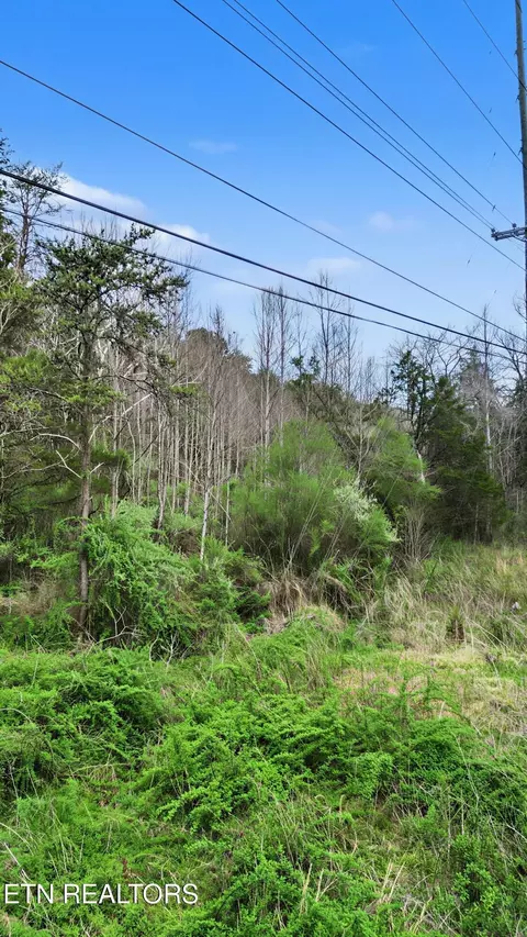 Other - 0 Wears Valley Rd, Townsend, TN 37882 photo 11 of 11