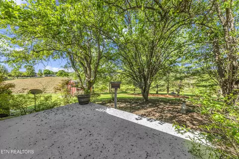 350 Phillipi Rd, Mohawk, TN 37810 photo 23