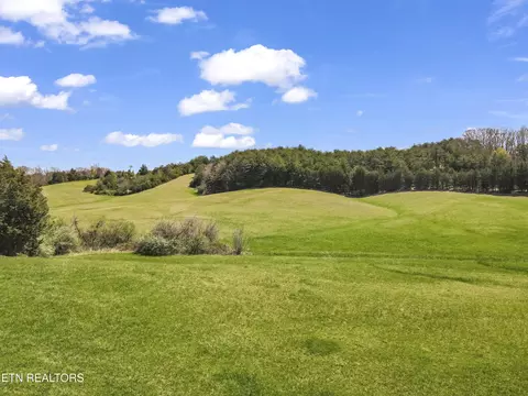 350 Phillipi Rd, Mohawk, TN 37810 photo 5