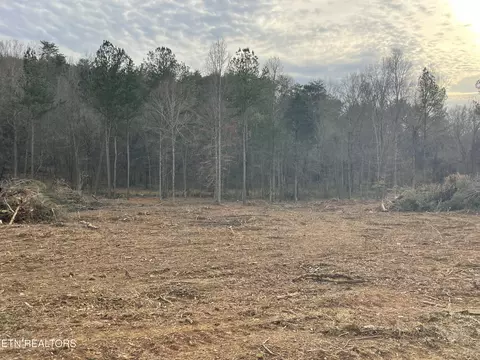 84 Robbies Ln, Decatur, TN 37322