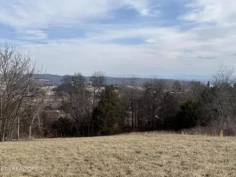 2826 Homestead Dr, White Pine, TN 37890