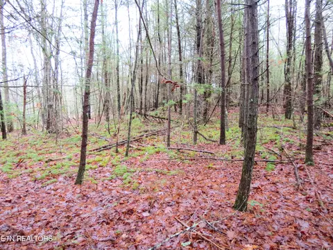 0 Genesis Rd, Lancing, TN 37770 photo 8