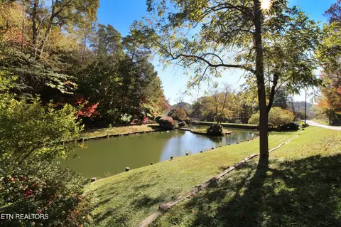 604 Gamble Dr, Heiskell, TN 37754 photo 8