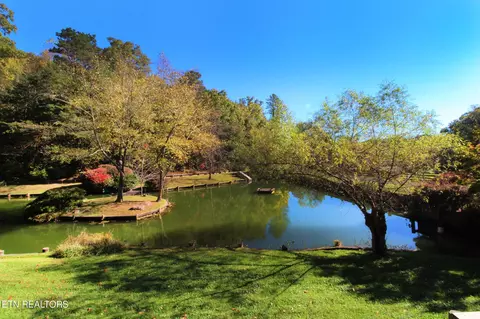 604 Gamble Dr, Heiskell, TN 37754 photo 7