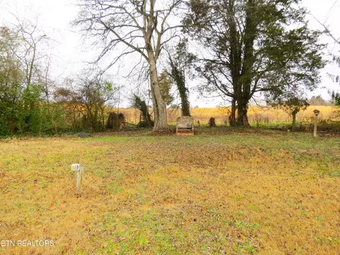 1376 Kingswood Rd, Talbott, TN 37877 photo 7