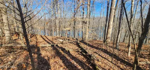 206 Stoney Rock Ln, Jacksboro, TN 37757