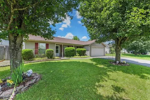 7546 Wheatmeadow Rd, Corryton, TN 37721 photo 4