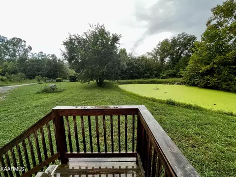 155 Ed Shipley Ln, Mohawk, TN 37810 photo 4
