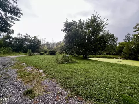 155 Ed Shipley Ln, Mohawk, TN 37810 photo 18
