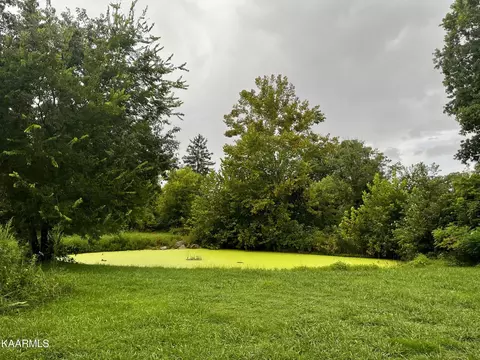 155 Ed Shipley Ln, Mohawk, TN 37810 photo 5
