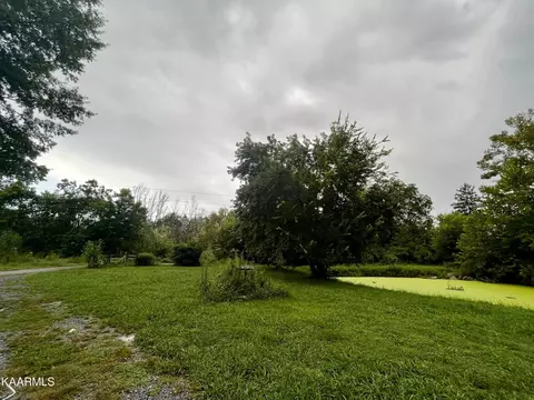 155 Ed Shipley Ln, Mohawk, TN 37810 photo 6