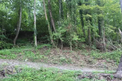 137 Keysa Dr, Duff, TN 37729 photo 3