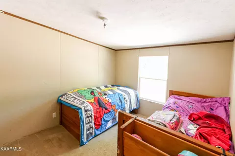 287 Pleasant View Loop, Clinton, TN 37716 photo 13