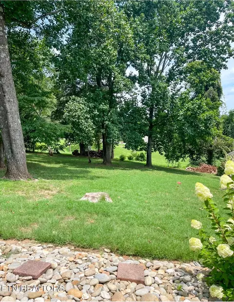 408 E Mountain View Rd, Corryton, TN 37721 photo 40