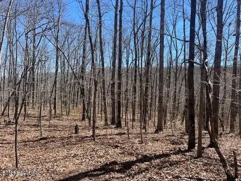 40 Pioneer Trail Ln, Crawford, TN 38554