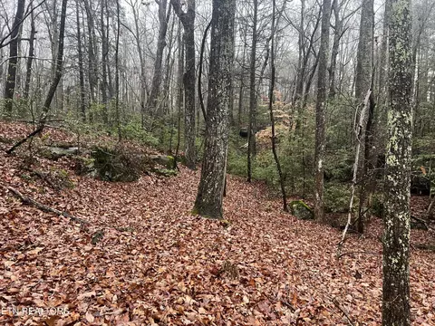 23 Overlook Pl, Monterey, TN 38574 photo 4