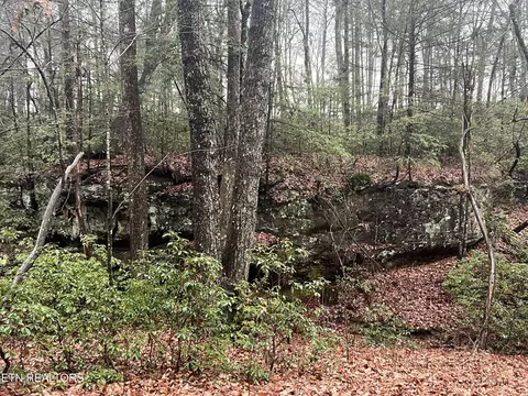 23 Overlook Pl, Monterey, TN 38574