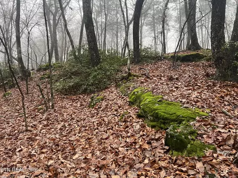 23 Overlook Pl, Monterey, TN 38574 photo 3