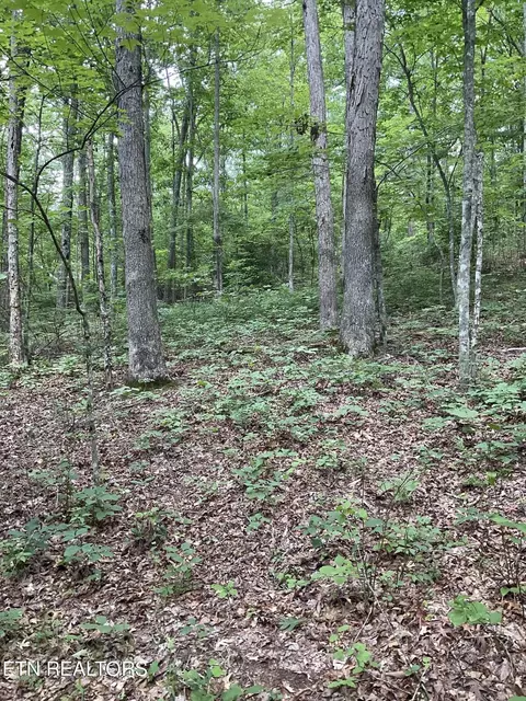 0 Harv Loop, Monterey, TN 38574 photo 5