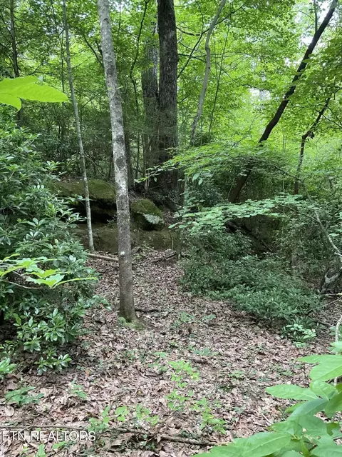 0 Harv Loop, Monterey, TN 38574 photo 2