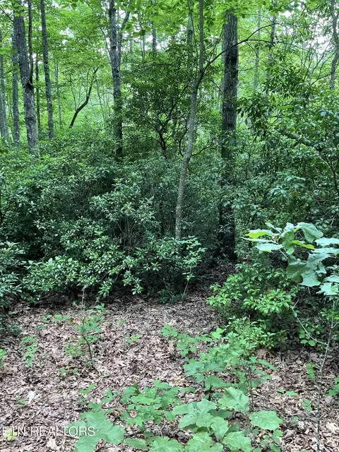 0 Harv Loop, Monterey, TN 38574 photo 8