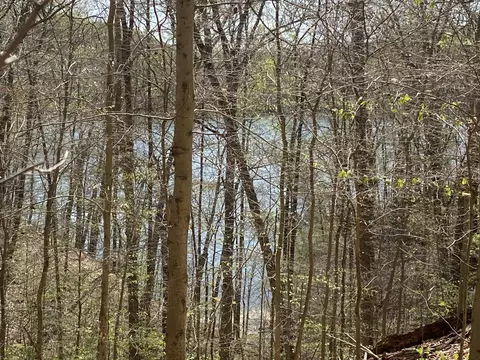 0 Norris Shores Dr, Sharps Chapel, TN 37866
